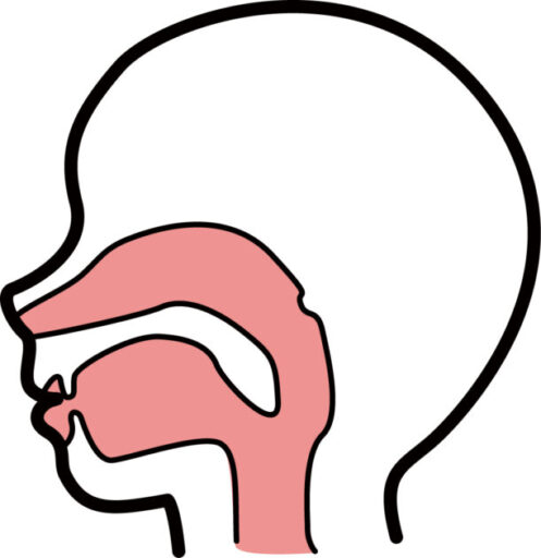 耳鼻咽喉科２